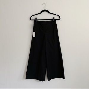 NWT aritzia manolo pant